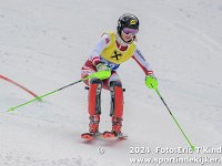 SKI 0011