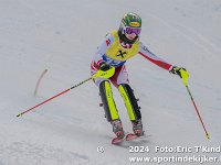 SKI 0061