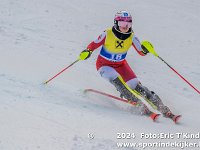 SKI 0113