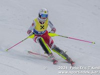 SKI 0133