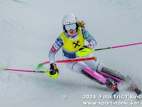 SKI 0238