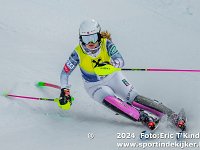 SKI 0239