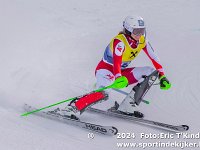 SKI 0267