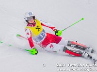 SKI 0272