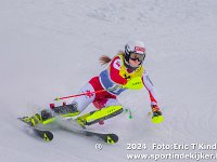 SKI 0295