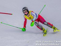 SKI 0323