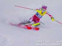 SKI 0352