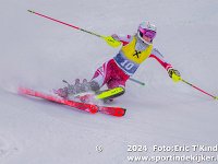 SKI 0353