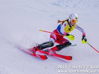 SKI 0413