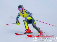 SKI 0487