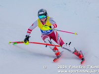 SKI 0499