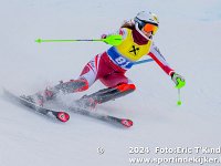 SKI 0653