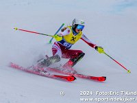 SKI 0733