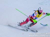 SKI 0770