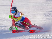 SKI 8334