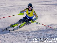 SKI 8350