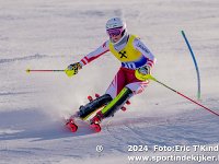 SKI 8486