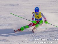 SKI 8598