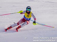 SKI 9015