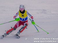 SKI 9341