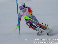 SKI 9397