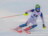 SKI 9529