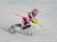 SKI 9885