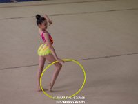 UUY 0331